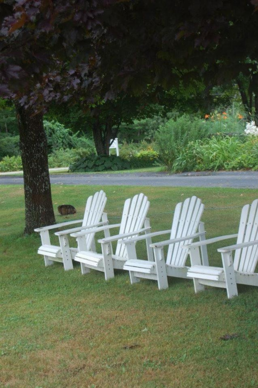 Clary Lake Bed and Breakfast Main image