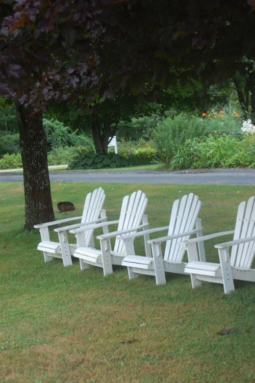 Clary Lake Bed and Breakfast image 3